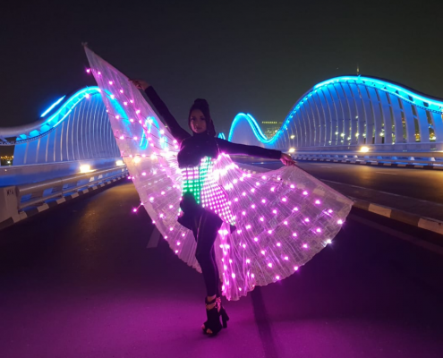 LED butterfly Show Dubai UAE