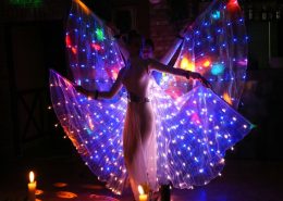 LED butterfly perfomance UAE Dubai