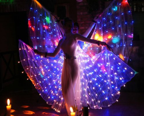 LED butterfly perfomance UAE Dubai